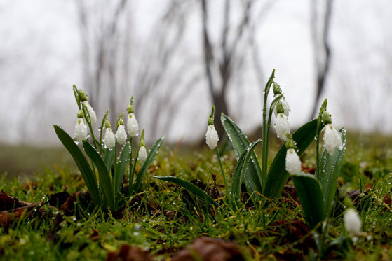 Prognoza meteo pentru următoarele 4 săptămâni: cum va fi vremea la începutul primăverii