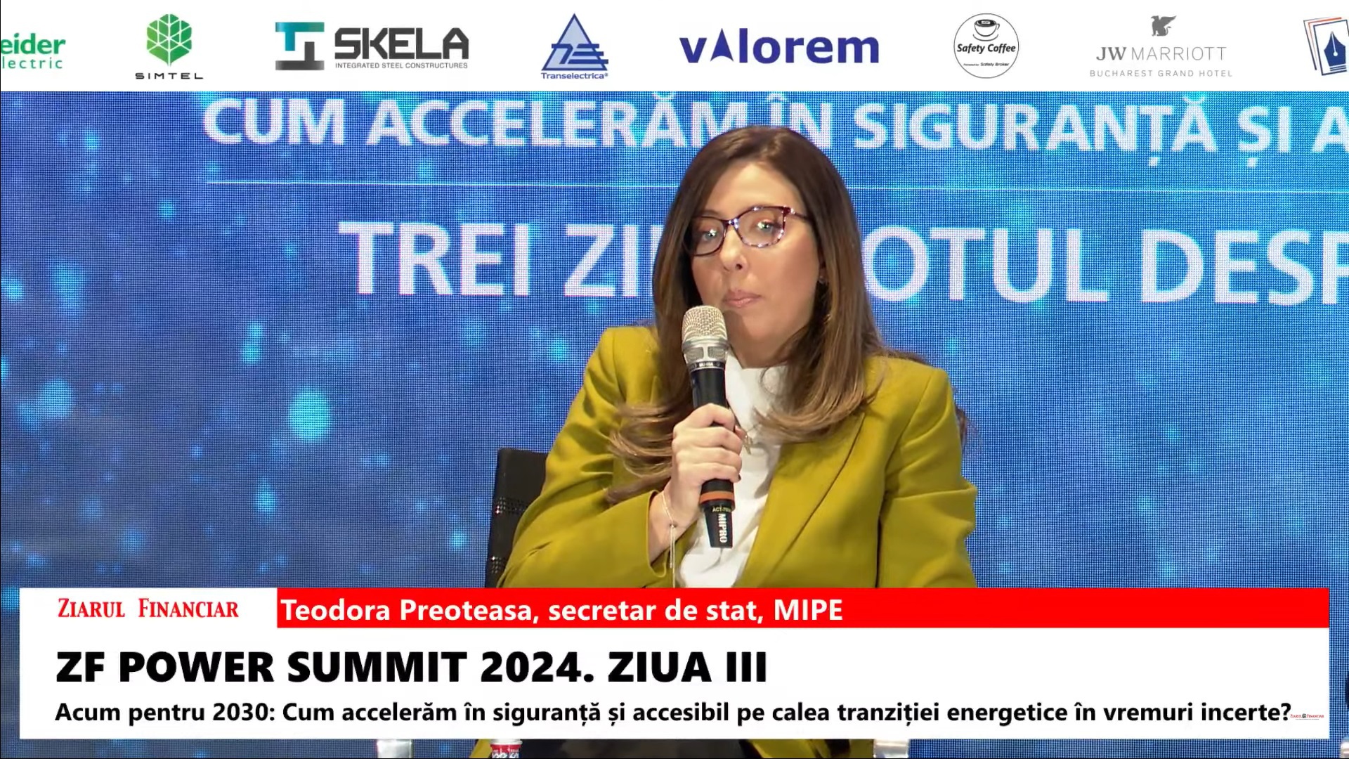 Teodora Preoteasa, MIPE: Cum vom asigura nevoia de panouri fotovoltaice pentru toate măsurile de finanțare pe care le lansăm? Dacă avem întârzieri de peste 1 an la livrare noi vom pierde bani din PNRR