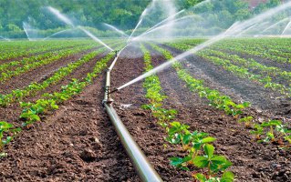 Bursă. Producătorul de îngrășăminte Norofert raportează venituri de 42 mil. lei în 2023, în scădere cu 42% an/an. Compania trece pe pierdere