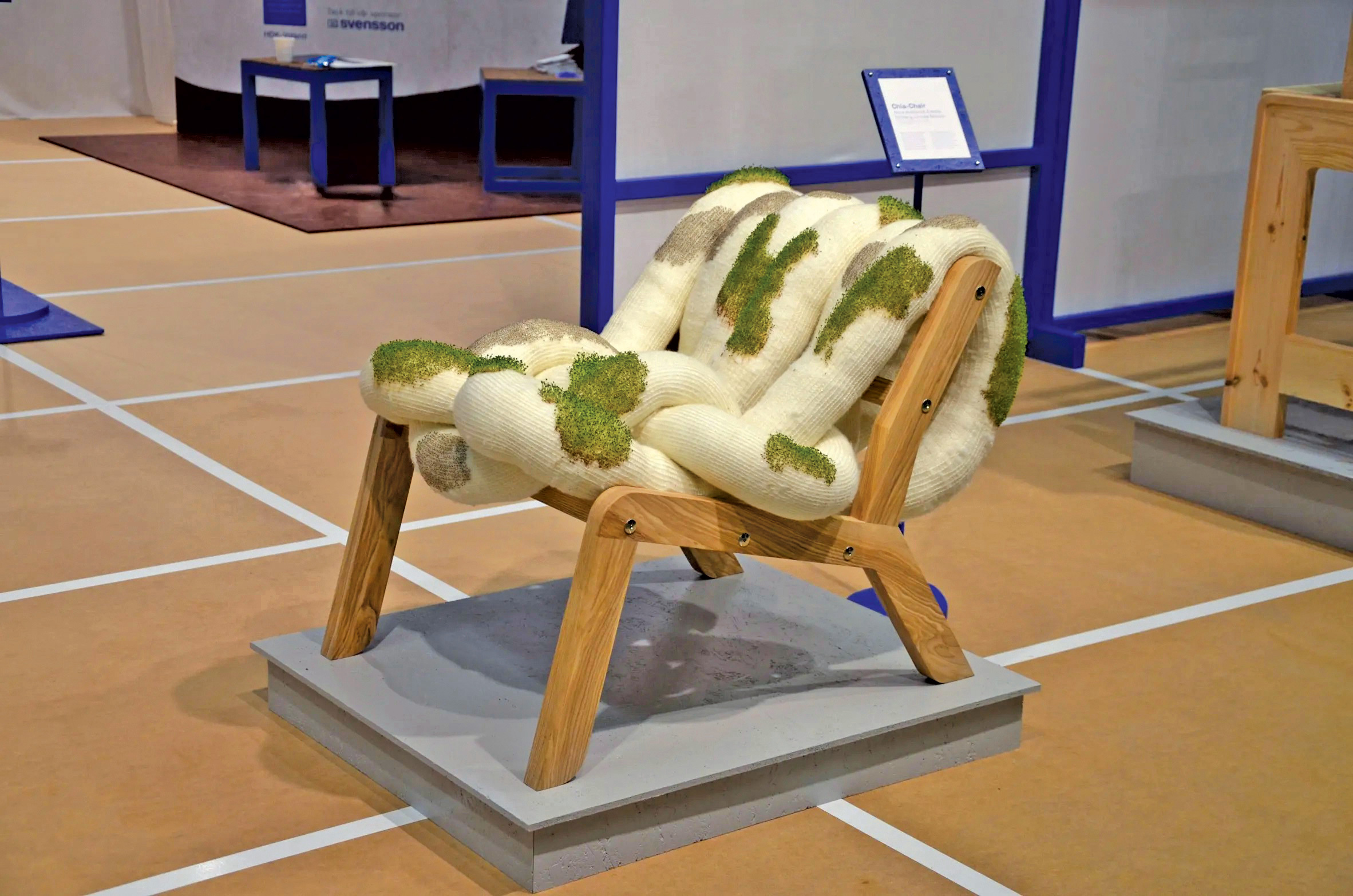 Confortul plantelor