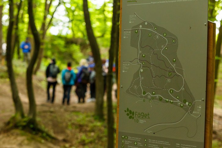 Pădurea Făget din Cluj a câștigat premiul I la categoria Reconectare cu Natura la Premiile New European Bauhaus 2024