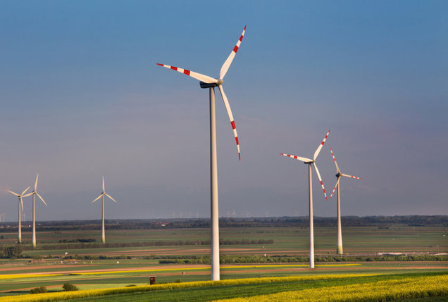Investitorii mici pun la bătaie 1 mld. lei în oferta de listare a Premier Energy, cu peste 30% mai mult decât valoarea IPO-ului. “Investitorii  de retail au devenit o forță redutabilă pe piața noastră de capital”