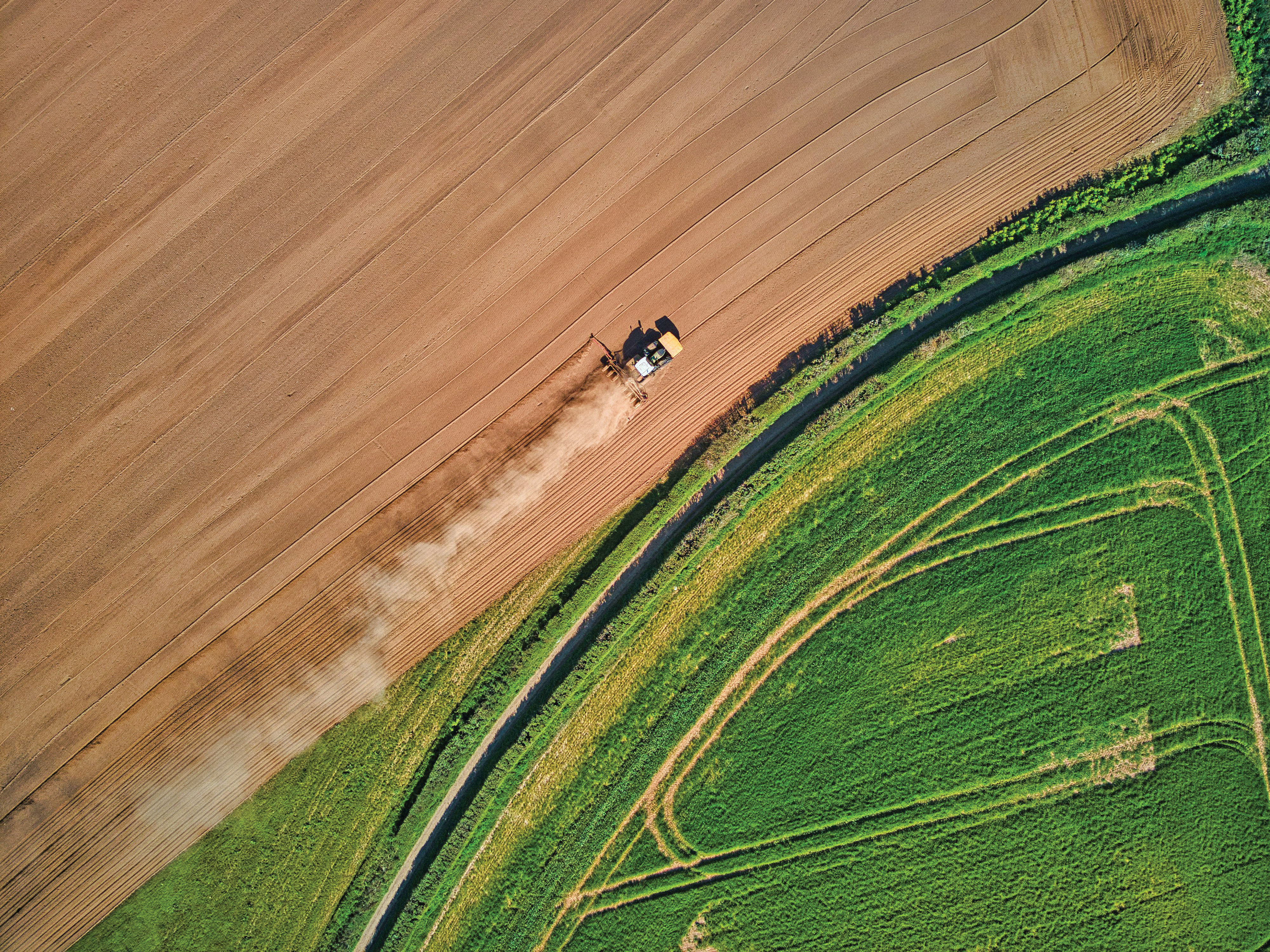 Povestea familiei care controlează un gigant din domeniul agricol din România, cu afaceri de sute de milioane de lei și cu mii de hectare de pământ. Ce planuri au proprietarii cu compania pe care au construit-o