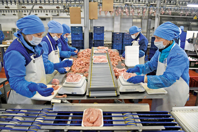Cei mai mari 20 de jucători din industria cărnii au fost la un pas de 3 mld. euro în 2023, cu aproape 30.000 de angajați
