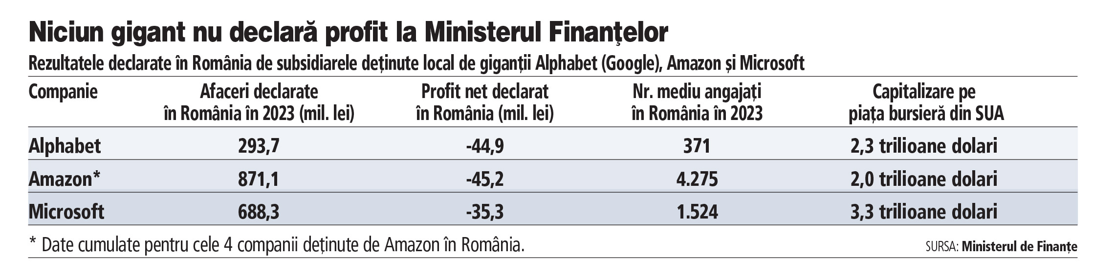 Niciun gigant american din domeniul tehnologiei nu declară profit la Ministerul Finanțelor în România