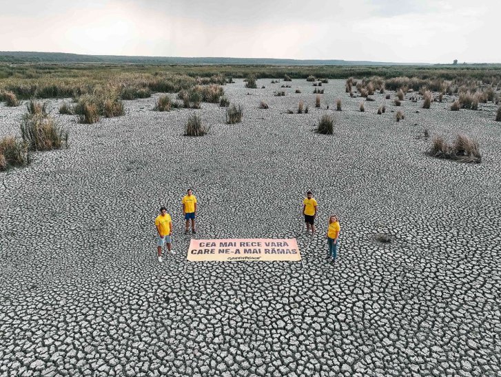 Protest Greenpeace în albia secată a Parcului Natural Comana: Viitorul rămâne fără apă