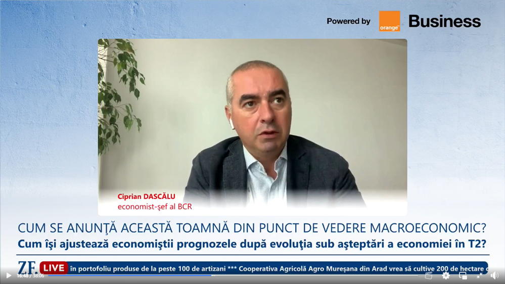 Milioane de români au portofelele vizate. Economiștii avertizează că din 2025 taxele ar putea crește pentru ca statul să poată repara gaura din buget VIDEO