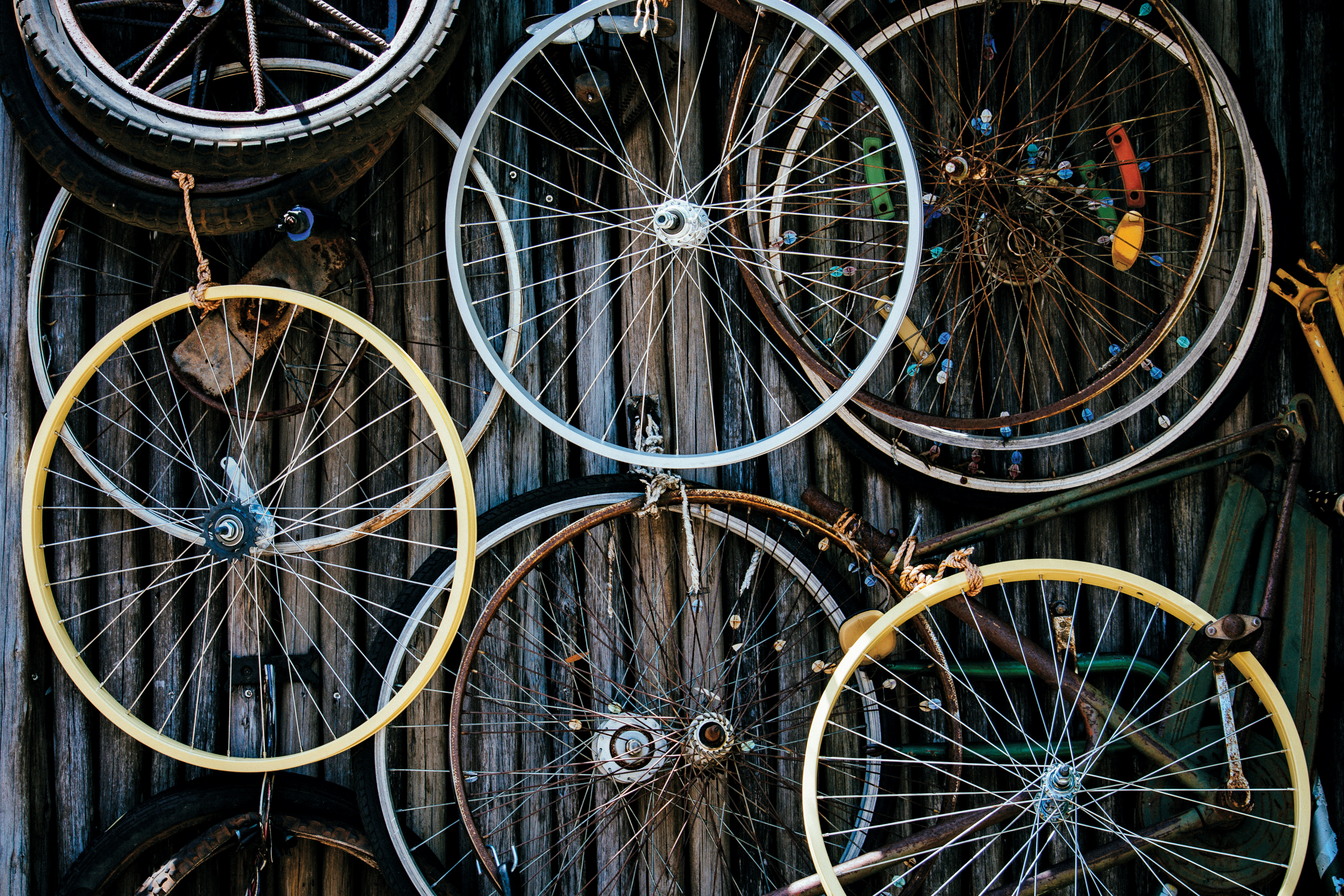 Raiul bicicliștilor