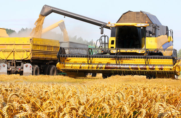 Agra Asigurări: Peste 50% dintre fermierii asigurați au avizat daune în sezonul agricol 2023-2024. Cea mai mare despăgubire, 5,4 mil. lei, acordată unui fermier din Ilfov