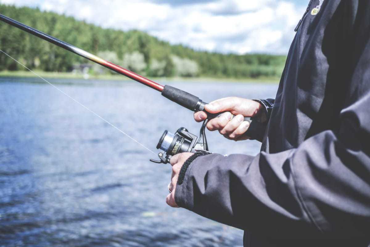 (P) Spinningul și lansetele potrivite: cheia succesului pe lac și râu