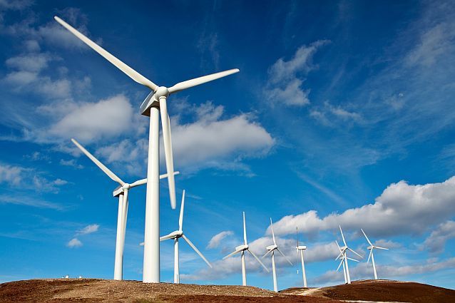 Retragerea lui Trump din Green New Deal lovește în plin producători de energie verde: Acțiunile gigantului danez Ørsted , cel mai mare dezvoltator de energie eoliană offshore din lume, s-au prăbușit după învestirea lui Trump