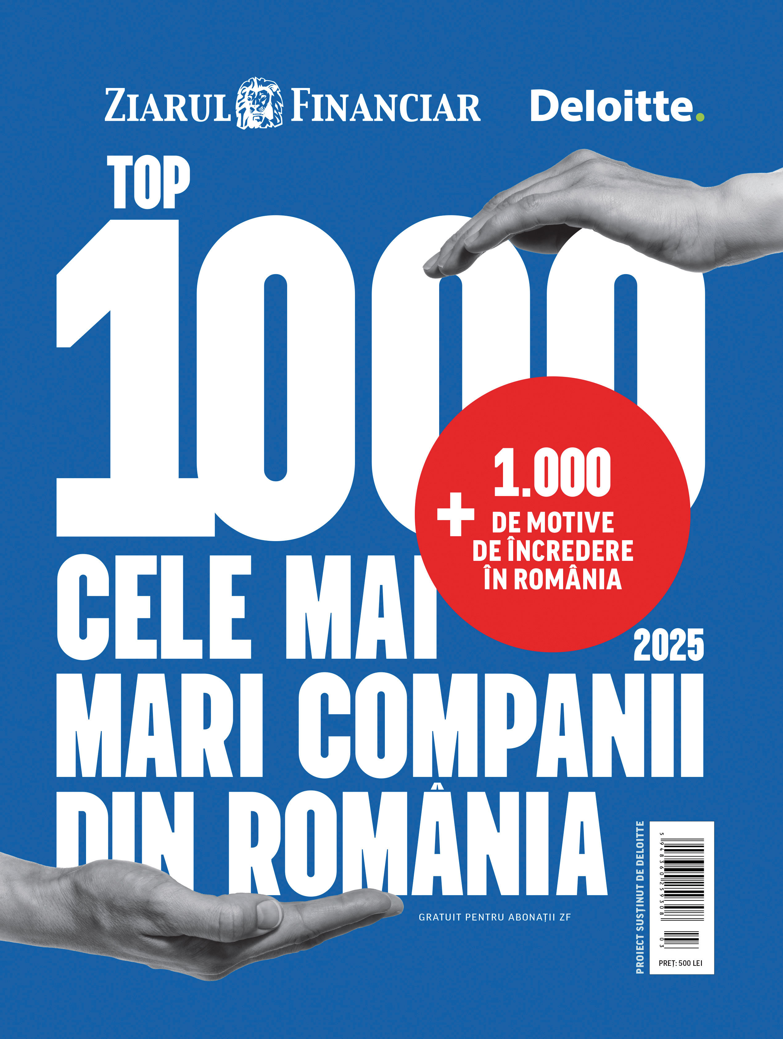 TOP 10 companii antreprenoriale românești