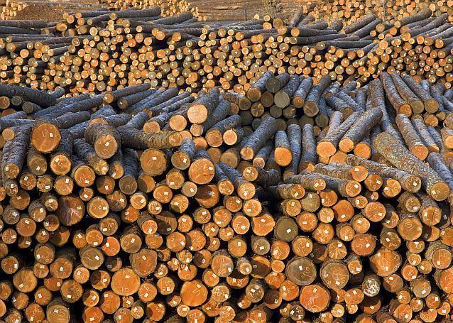 Consiliul Concurenței analizeză preluarea  ZG Timber Sebeș de către Kronospan Holdings