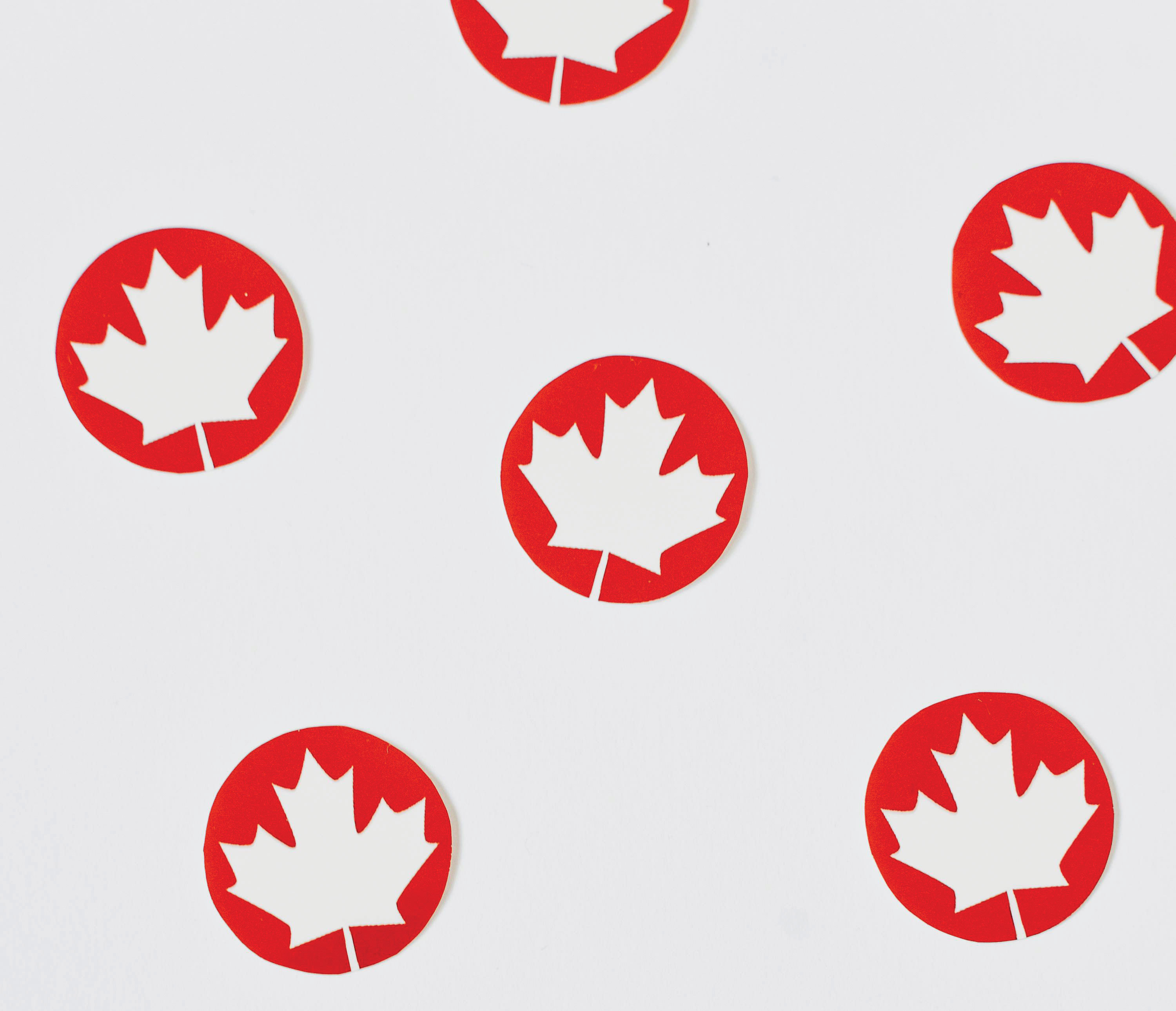 Uniunea Europeană are nevoie de spațiu și resurse, Canada are nevoie de oameni. Le-ar sta bine împreună