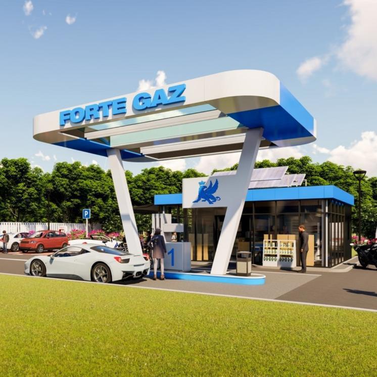 Forte Gaz iși extinde prezența pe piață prin achiziția companiei Stralis