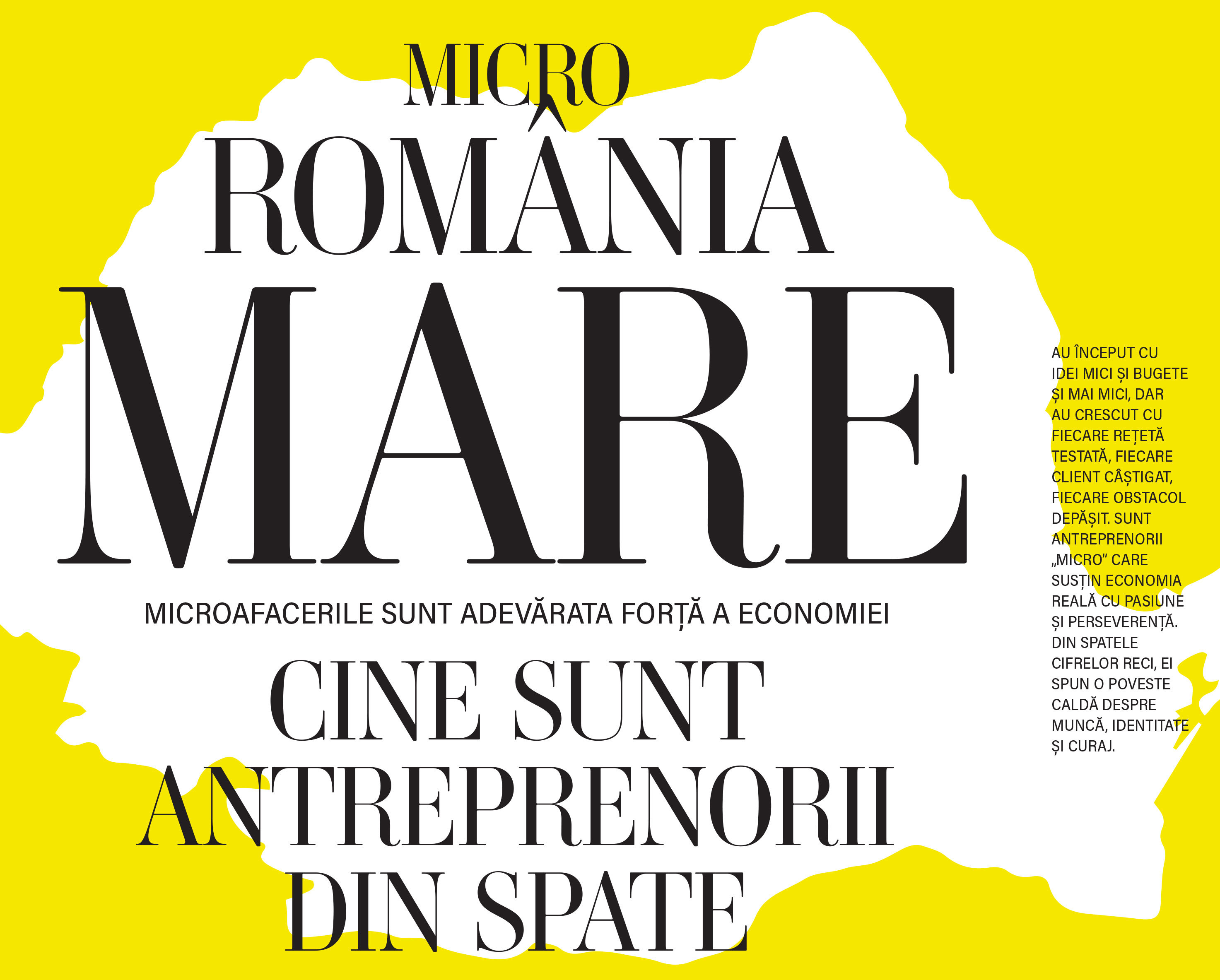 Micro România mare. Microafacerile sunt adevărata forță a economiei. Cine sunt antreprenorii din spate
