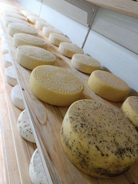 O nișă care se dezvoltă. Cum vor producătorii să ducă trendul în brânzeturi de la telemea și cașcaval spre brânzeturi de tip gouda, raclette sau trapist