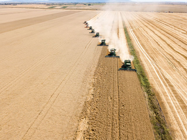 Ce valoare are agricultura în România: Producția vegetală, animală și serviciile conexe au avut în 2024 o valoare totală de 100 miliarde lei, în scădere cu 4,3%. Segmentul vegetal a avut o reducere de 10%, iar cele animal a crescut cu 5%