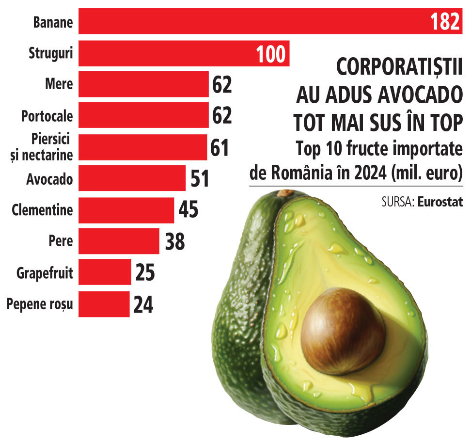 Cum a ajuns deja „faimosul“ avocado vinovat de deficitul României? Fructul exotic contribuie cu 3% la importurile de fructe și legume și cu nici 0,5% la cele agroalimentare. Deficitele mari pe fructe provin de la importurile de mere, struguri și piersici de fapt