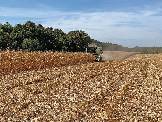 Undă verde de la Consiliul Concurenței pentru preluarea producătorului maghiar de furaje Agrifirm de către UBM Grain Zrt
