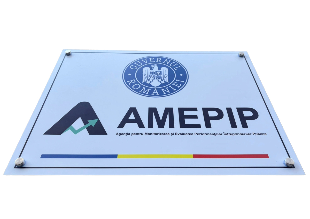 Statul caută din nou conducere pentru AMEPIP: Guvernul caută un președinte și doi vicepreședinți