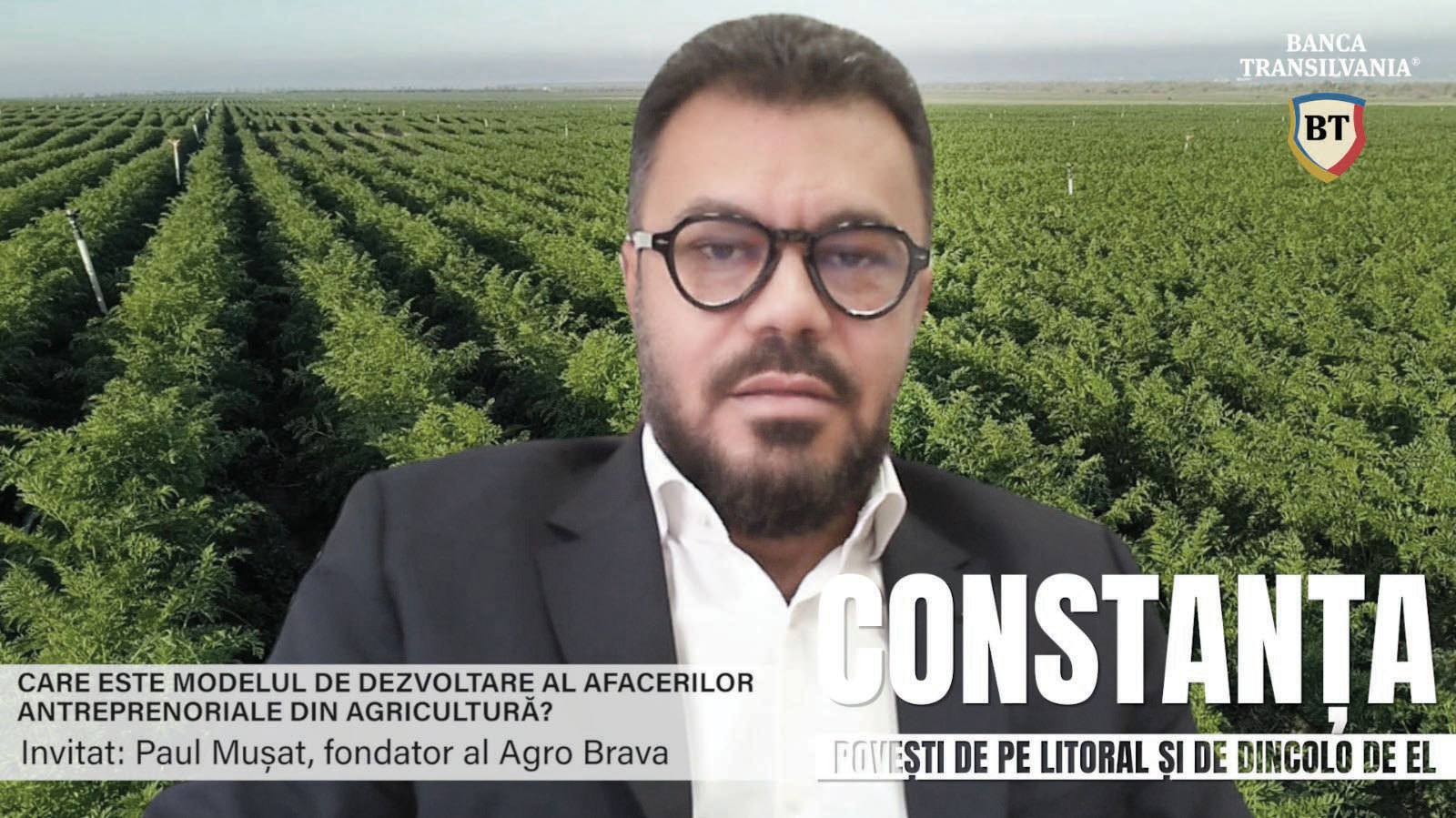 Cum a ajuns un antreprenor din Constanța să producă legume pe 400 ha și să le vândă apoi către marile lanțuri, către HoReCa și procesatori?