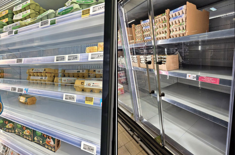 Rafturile cu ouă se golesc rapid în unele magazine. Este un deficit de producție? Ce spun producătorii și retailerii