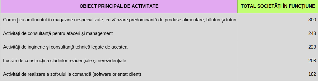 Care sunt cele mai populare domenii în care studenții înființează firme: comerțul, consultanța, ingineria, construcțiile și dezvoltarea de software sunt domeniile de activitate cu cele mai multe firme fondate de tineri