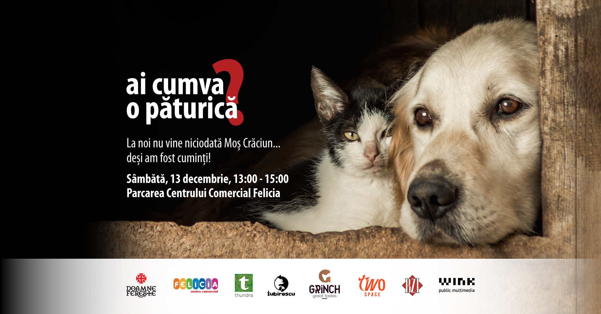 Mobilizare majoră la Iași pentru animalele din padocuri – cel mai mare eveniment caritabil pentru prietenii blănoși are loc pe 13 decembrie