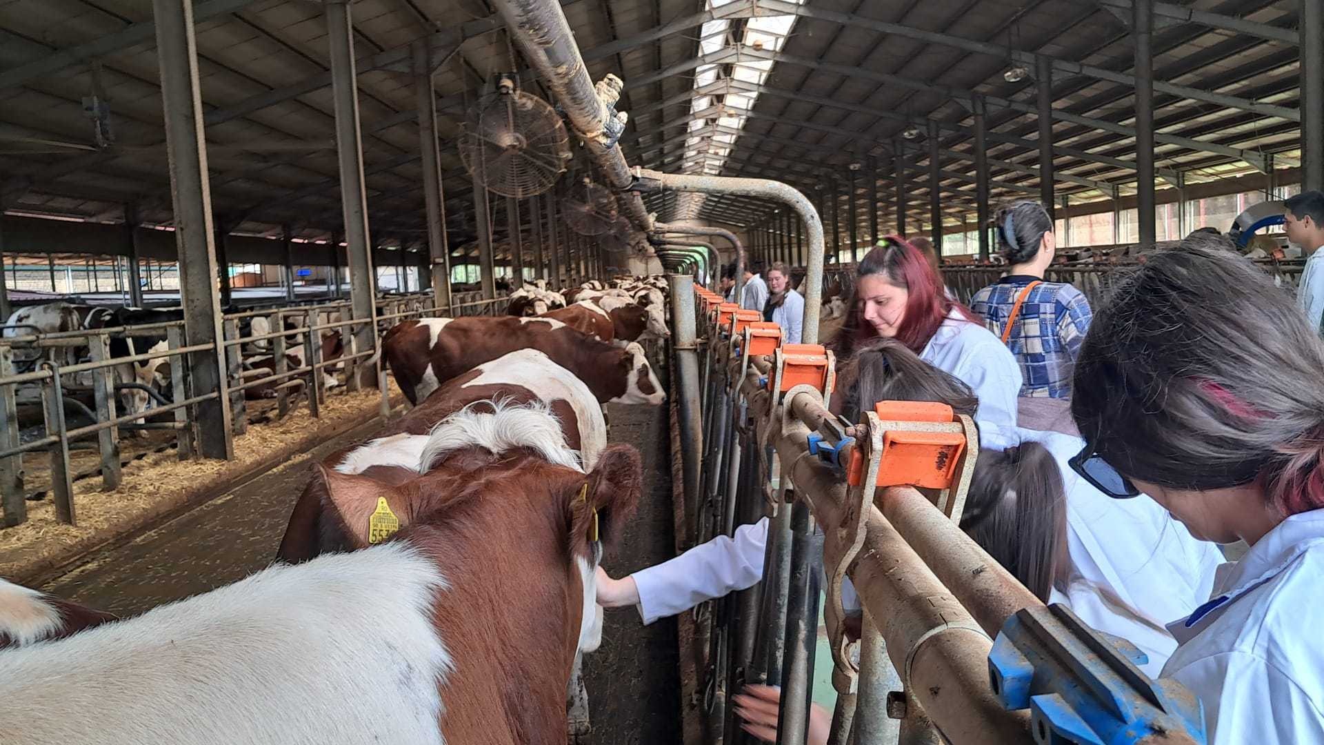 Unu din trei absolvenți de liceu agricol nu a făcut nicio oră de practică, deși 75% din fermieri spun ca i-ar primi și că duc lipsă de personal. „Pentru a atrage tinerii în agricultură este nevoie de un efort conjugat al profesorilor, al guvernului și al mediului de afaceri”