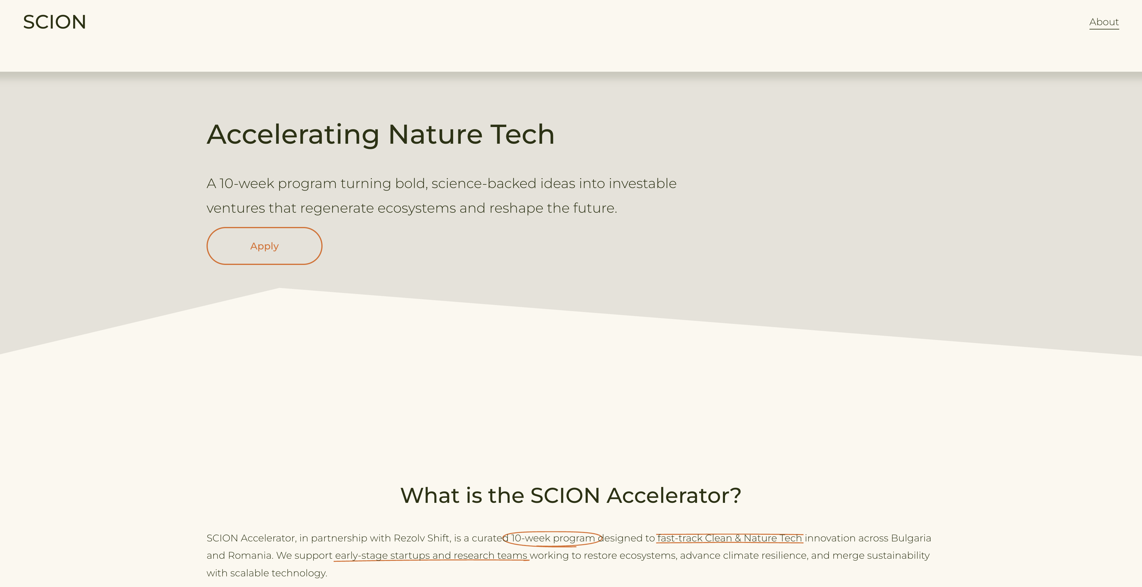 Acceleratorul SCION, bazat pe AI și susținut de britanicii de la Rezolv Energy, caută start-up-uri românești pentru o nouă cohortă. În prima ediție, 2 echipe locale au urcat pe podium