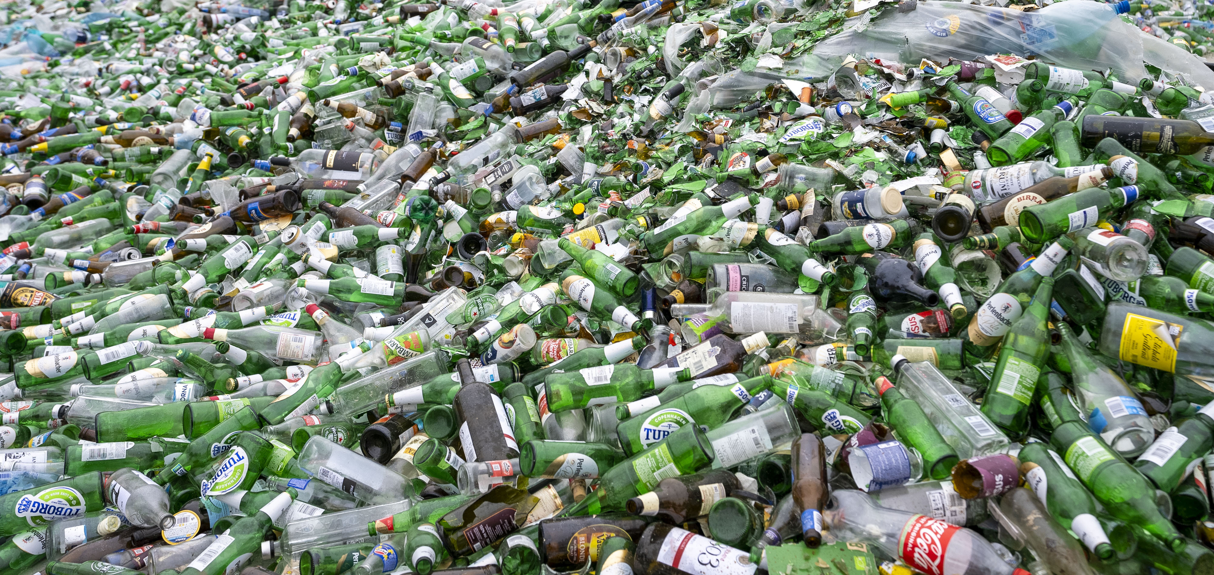 Plasticul a devenit un material omniprezent în viața de zi cu zi, însă impactul său asupra sănătății umane se dovedește mult mai grav decât se credea până acum
