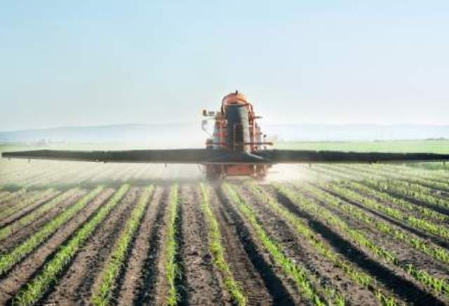 Semnal negativ din agricultură: după mai mulți ani în care numărul de insolvențe a scăzut, 2026 ar putea aduce un nou record negativ: „Agrobusinessul este în colaps total“