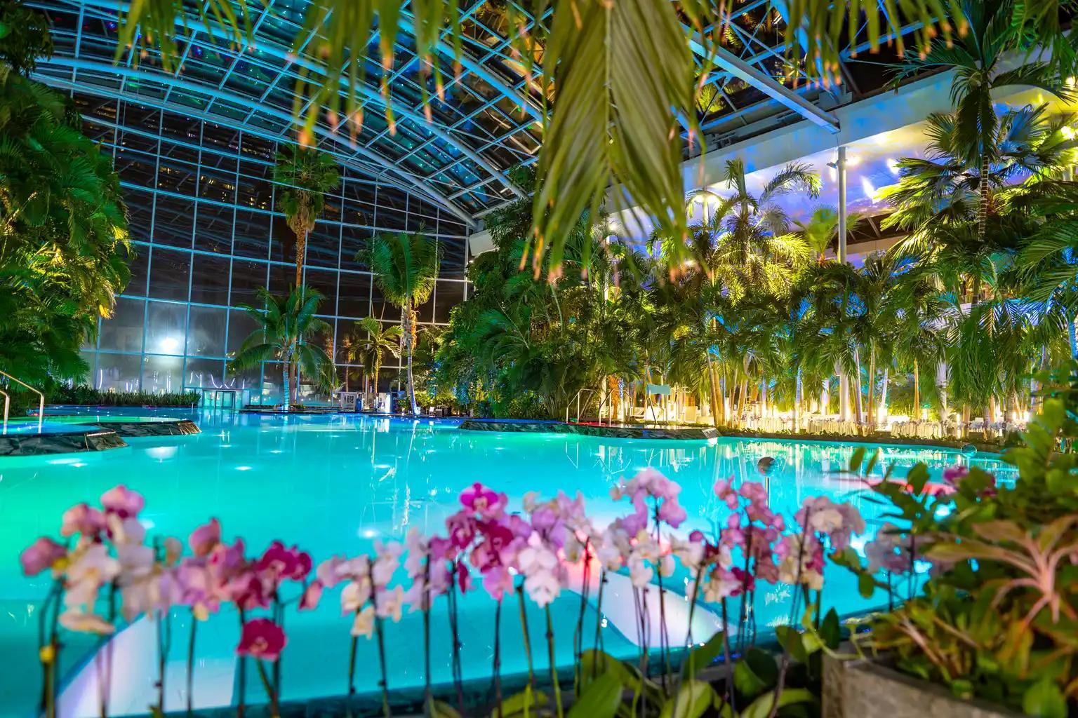 Cel mai mare festival de wellness dedicat terapiilor pe bază de plante revine la Therme București