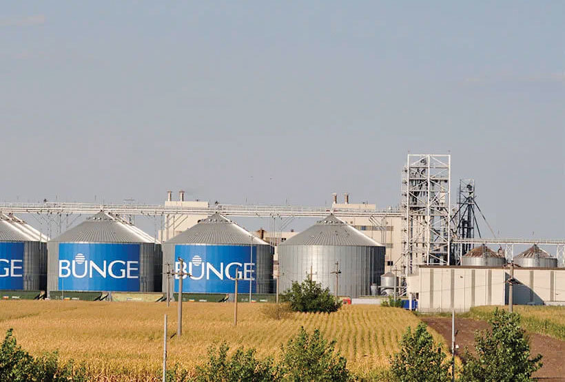 România agricolă, pe radarul americanilor. Ce amprentă au giganții americani în agribusinessul românesc?