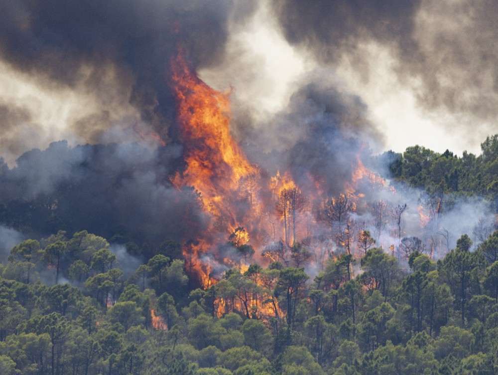 330.000 de oameni evacuați sau izolați în Spania și Franța. Incendiile se apropie de Bordeaux