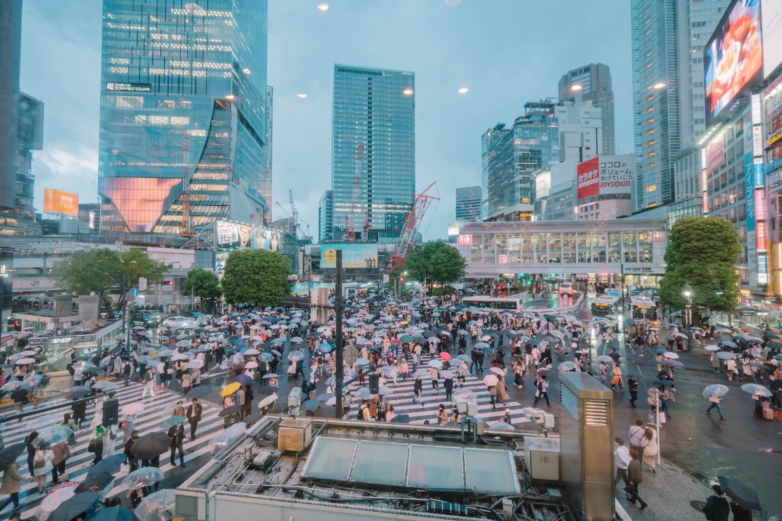 O companie din Japonia recrutează tineri din întreaga lume pentru un internship în Tokyo, iar zborul și cazarea sunt asigurate. Cum poți aplica și ce alte beneficii poți primi?