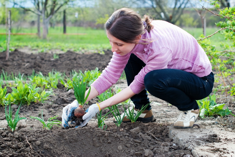Cât câştigă românii: Angajaţii din agricultură câştigă, în medie, puţin peste 4.500 de lei net pe lună, cu 1.200 de lei mai puţin decât media pe economie