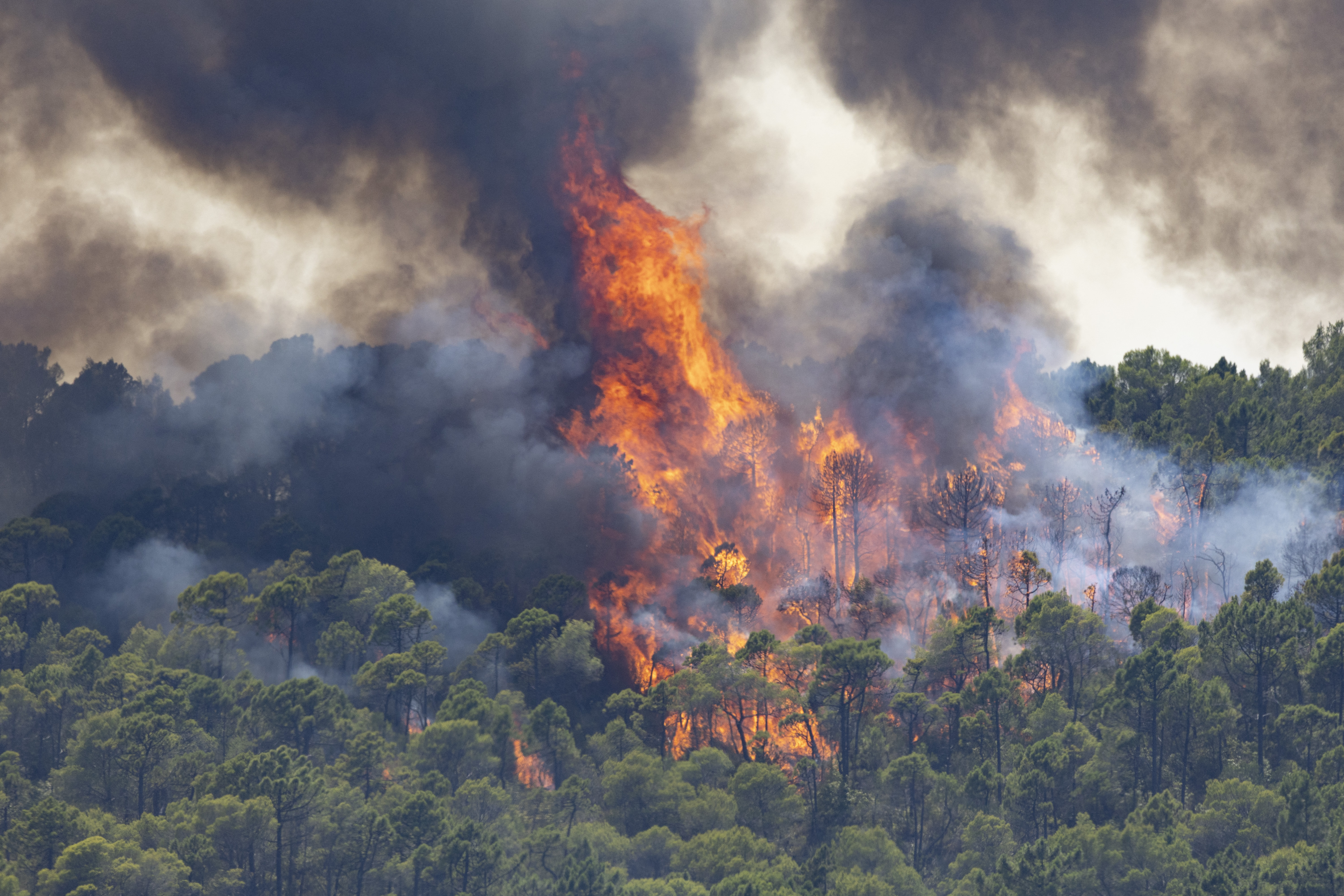 Lumea arde. Adevărata amploare a incendiilor devastatoare care fac ravagii în întreaga lume