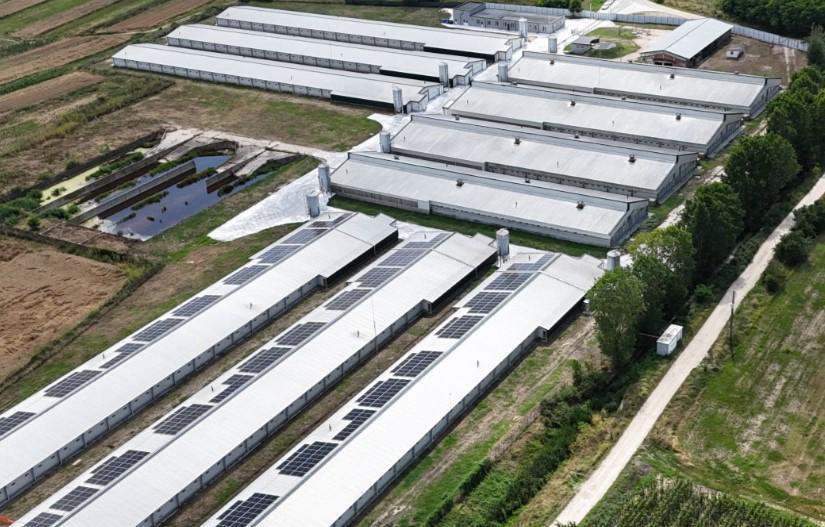 Grupul Carmistin investeşte în capacităţi proprii de producere a energiei verzi, care vor acoperi 50% din consumul total de energie electrică