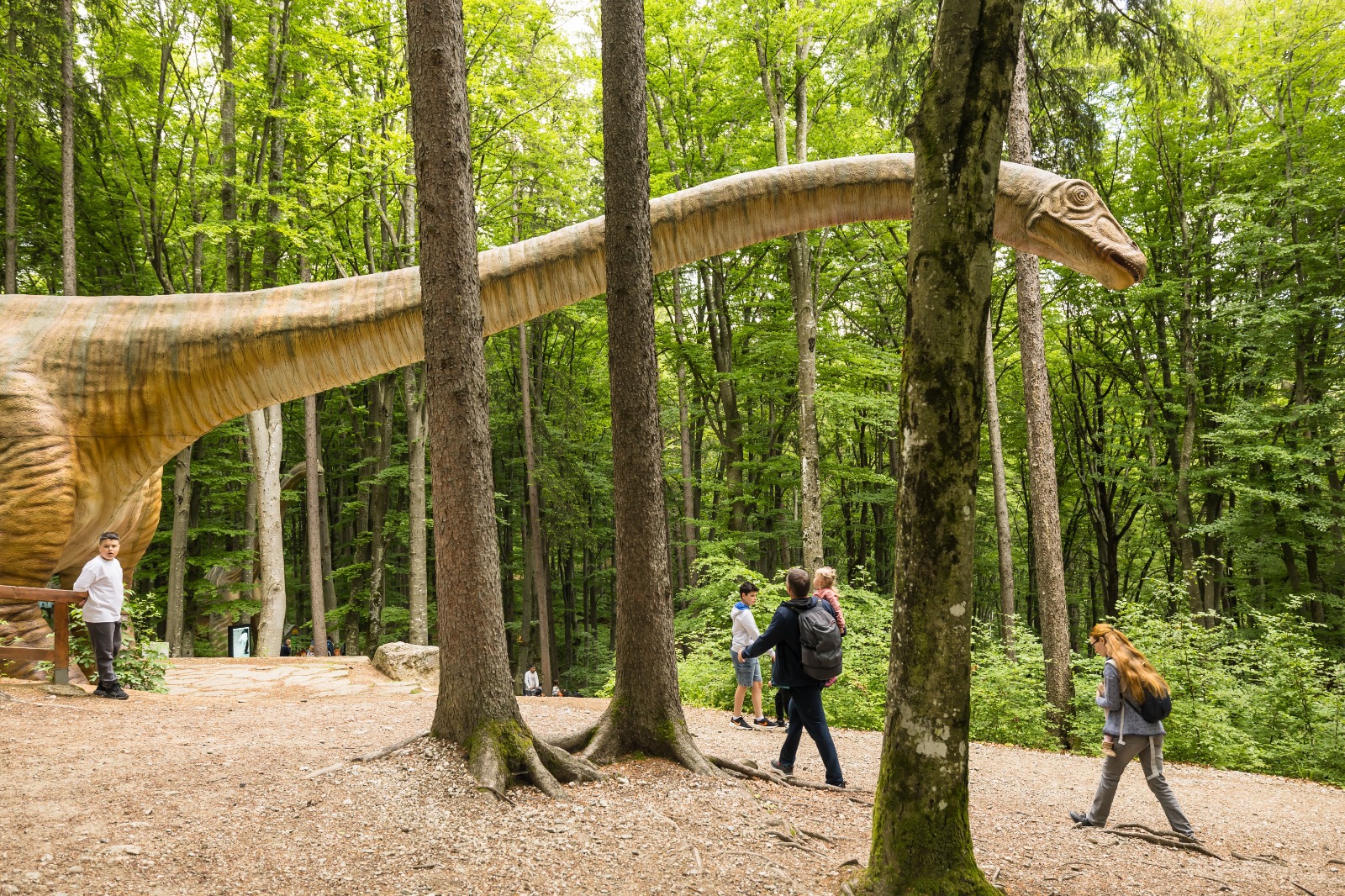 Dino Parc Râșnov: peste 4,5 milioane de vizitatori în 11 ani. Parcul își extinde componenta culturală prin Muzeul Pădurii