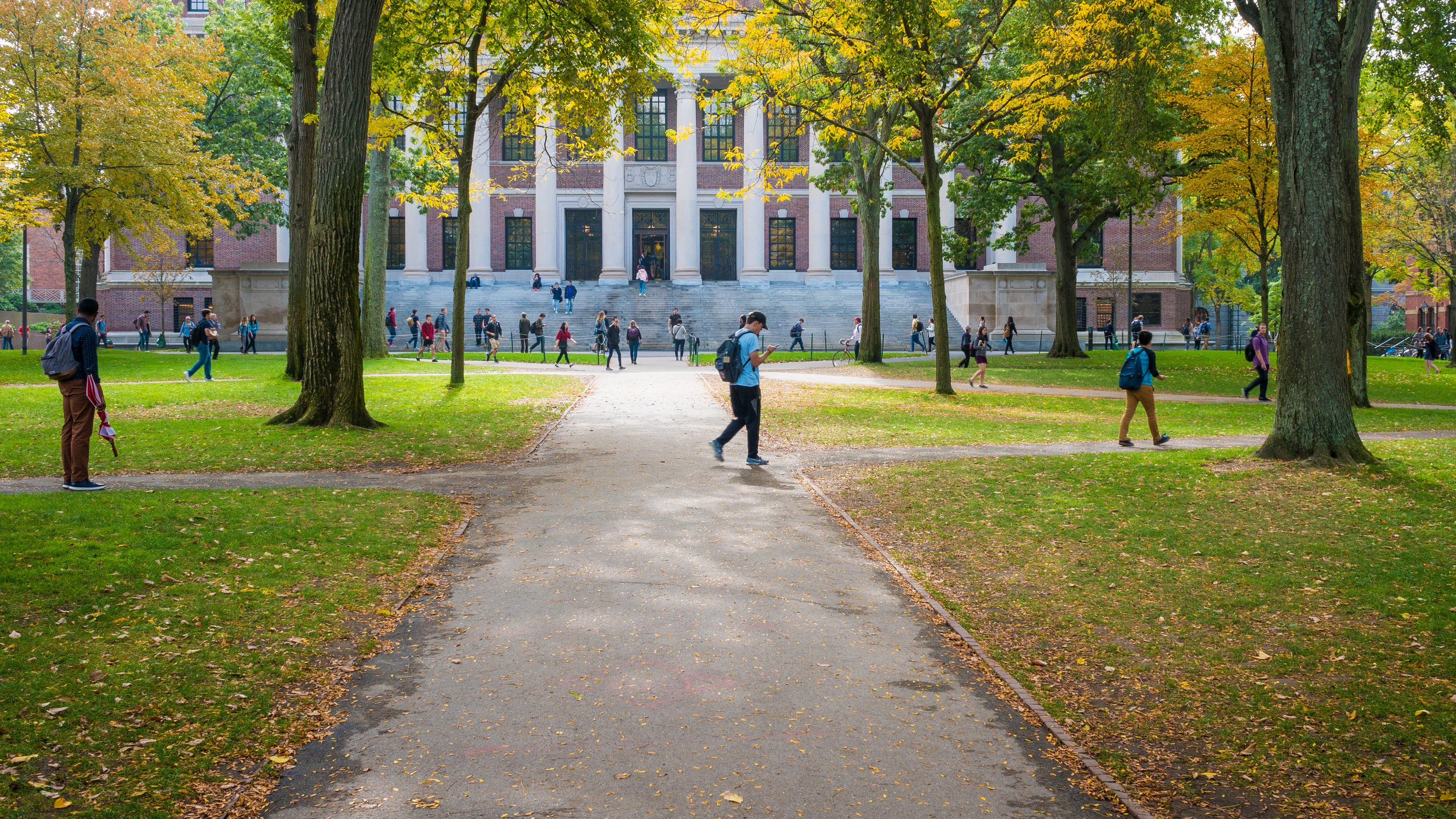 Mai e o lună până începe facultatea. Harvard îți oferă cursuri online gratuite pe care le poți urma de oriunde